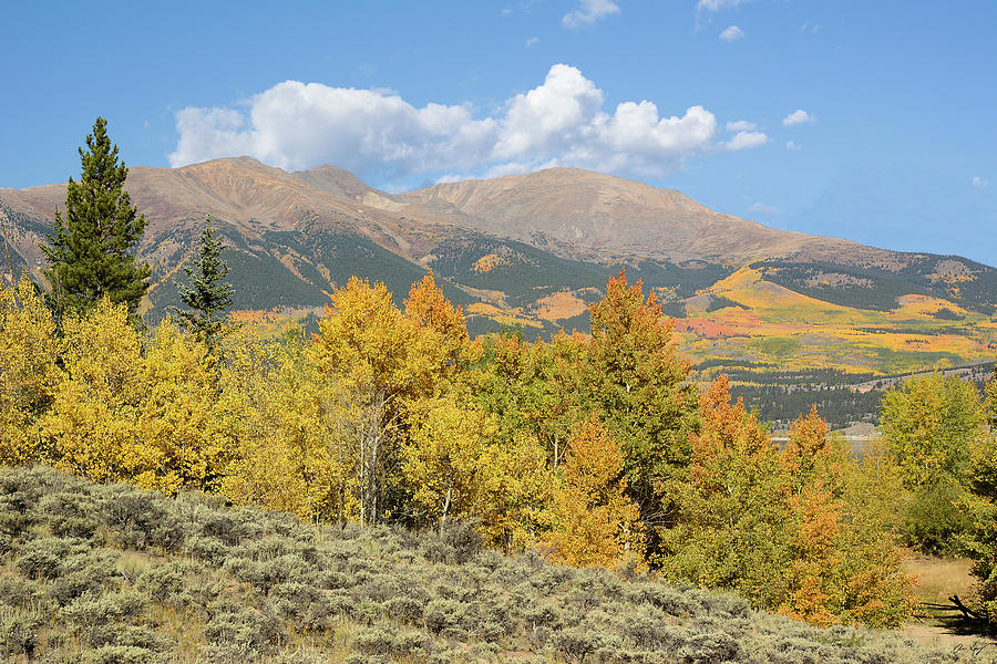 Mt. Elbert Autumn 2 Photograph by Aaron Spong