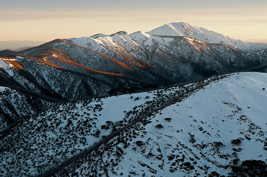 Mt. Feathertop With The Razorback Ridge In Alpine National Park In The Early Morning Light, Victoria, Australia Photograph by Don Fuchs