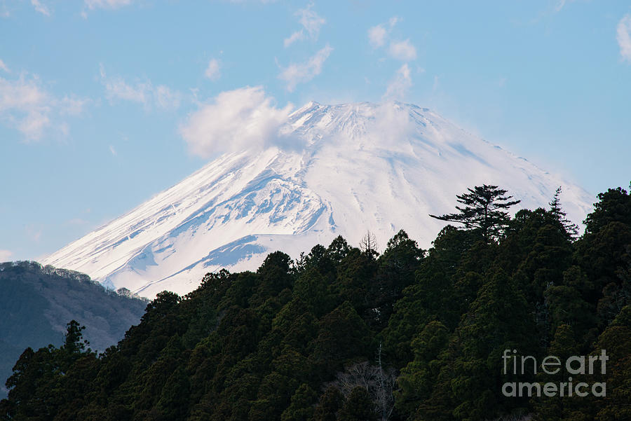 Mt. Fuji above the Tree Line Photograph by Bob Phillips