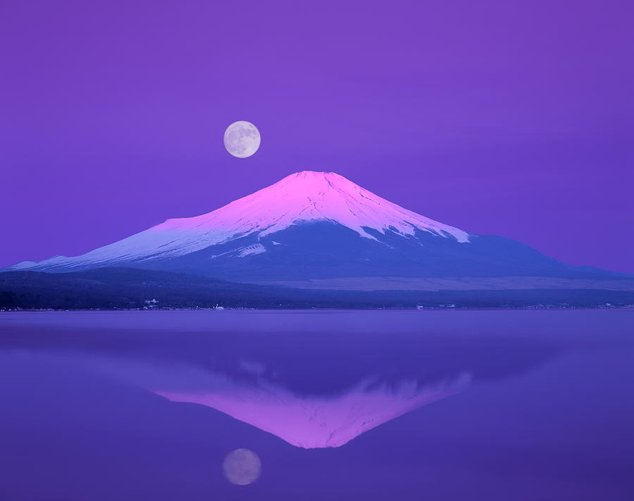Mount fuji purple живые обои