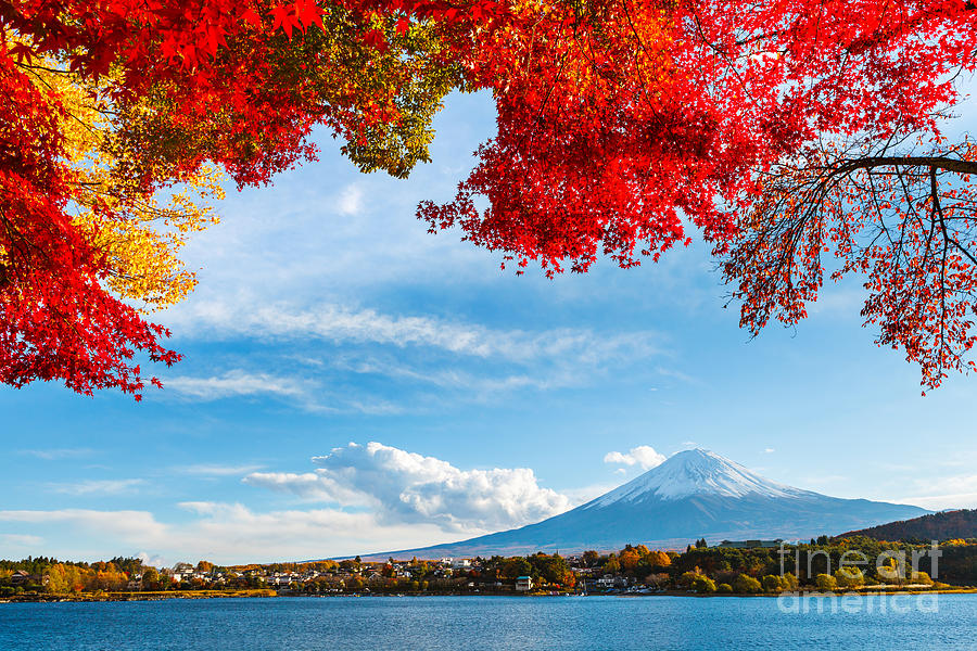 Fall Photograph - Mt Fuji In Autumn by Esb Professional
