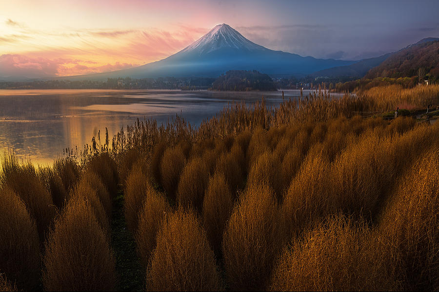 Mt. Fuji In Fall Photograph by Yun Thwaits