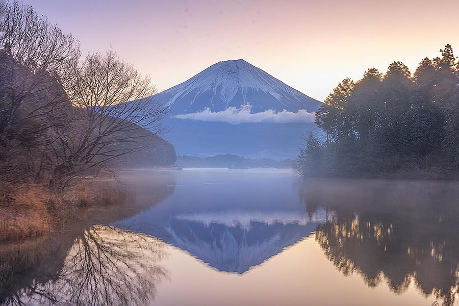 Mt. Fuji In Winter Photograph by Yun Thwaits