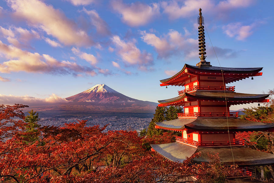 Mt. Fuji and Arakura Fuji Sengen-jinja Shrine Park Sunrise Photograph ...