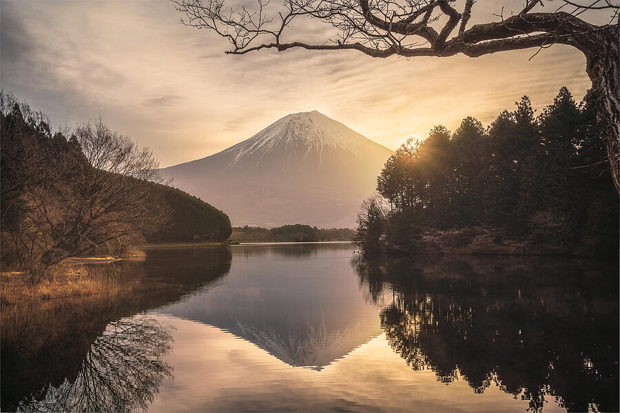 Mt. Fuji, The Symbol Of Japan Photograph by Vu Van Quan
