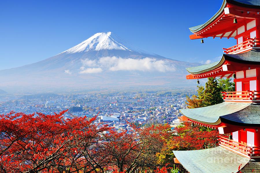 Mt. Fuji Photograph - Mt Fuji With Fall Colors In Japan by Sean Pavone Mt. Fuji Photograph - Mt Fuji With Fall Colors In Japan by Sean Pavone