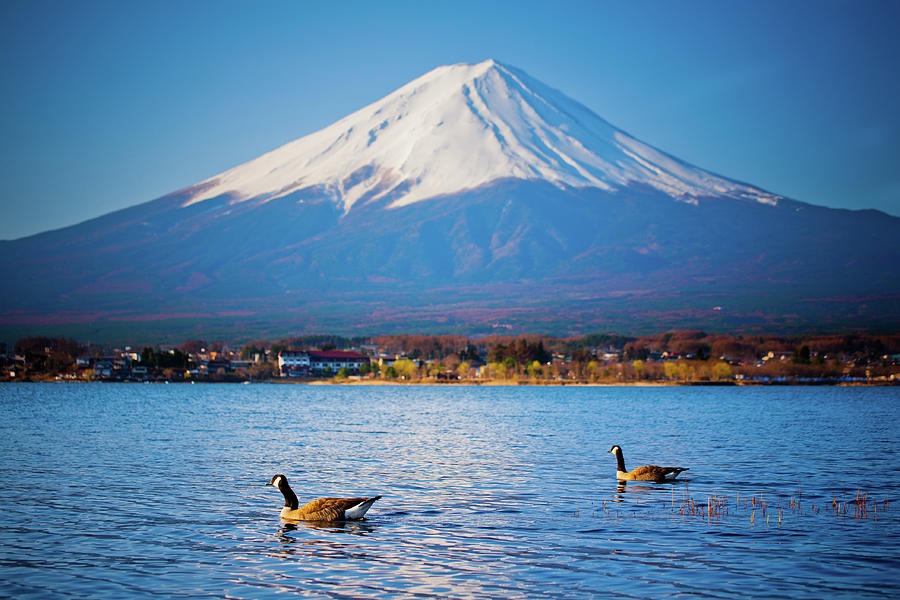 Mt. Fuji With Lake Photograph by Panithan Fakseemuang