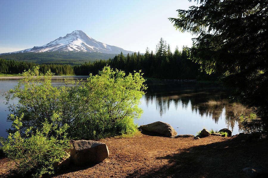 Mt Hood And Trillium Lake In Oregon Photograph by Aimintang