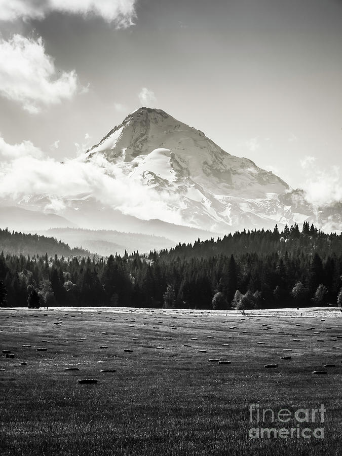 Mt Hood Black and White Photograph by Bob Zuber - Fine Art America