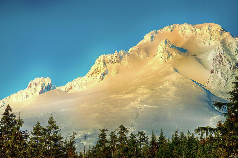 Mt. Hood in Late Afternoon Sunlight Photograph by Dee Browning