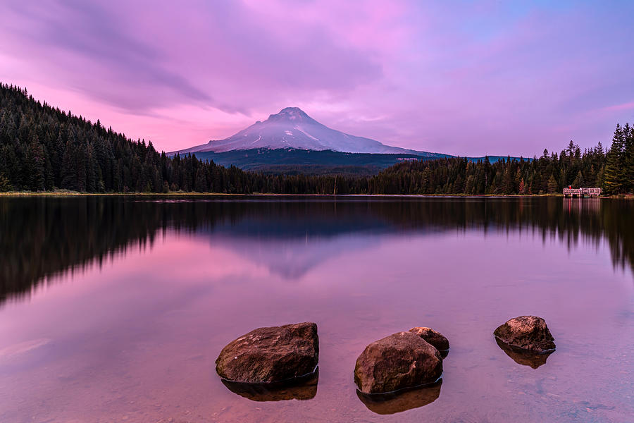 Mt. Hood In Morning Glow Photograph by Jie Jin - Fine Art America