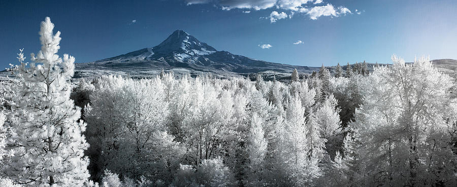 Nature Photograph - Mt. Hood Infrared Panorama by Patrick Morris