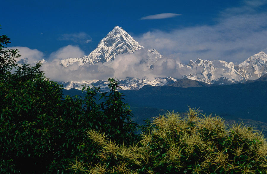 Mt. Machupuchare In The Annapurnas Photograph by Lonely Planet