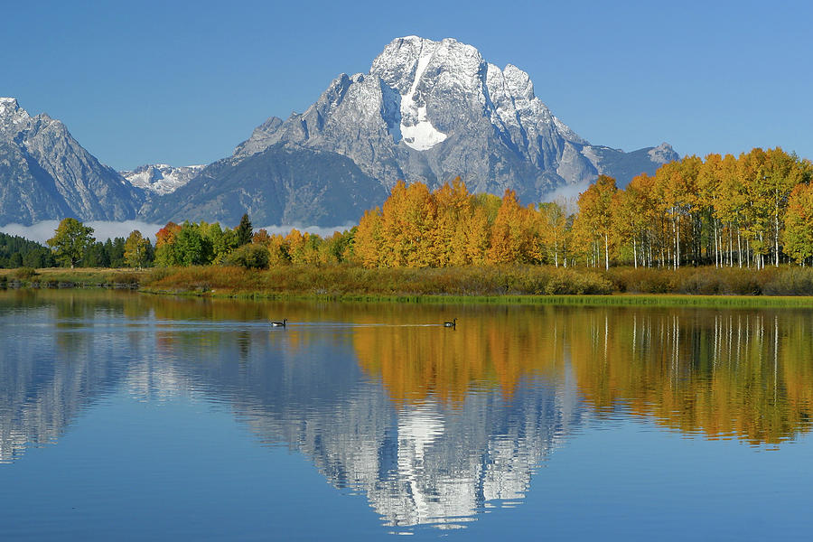 Mt. Moran Reflection Photograph by Ronnie And Frances Howard Mt. Moran Reflection Photograph by Ronnie And Frances Howard