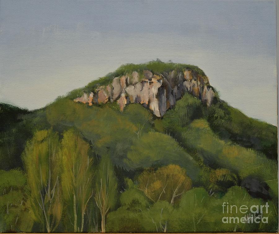 Mt Ninderry Yandina Painting Painting by Chris Hobel