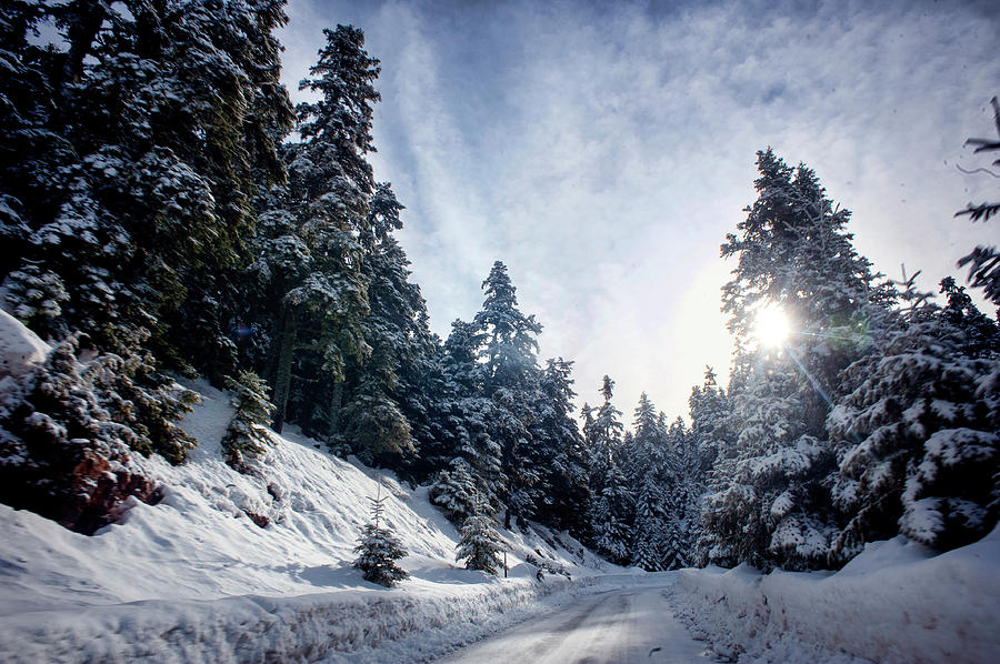 Mt. Parnassos Greece Photograph by Noa City-Eliyahu - Fine Art America