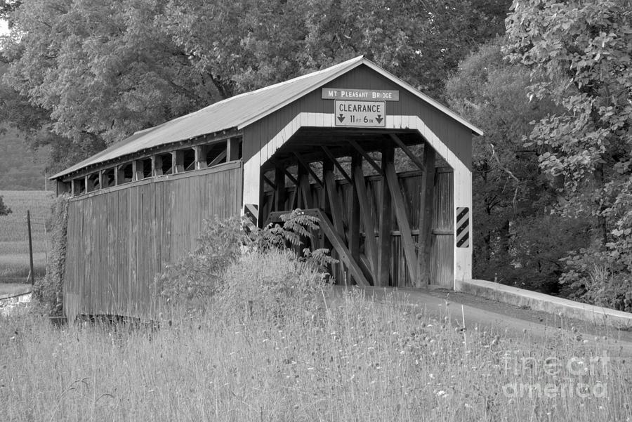 Mt. Pleasant Covere Bridge Through The Grass Black And White Photograph by Adam Jewell