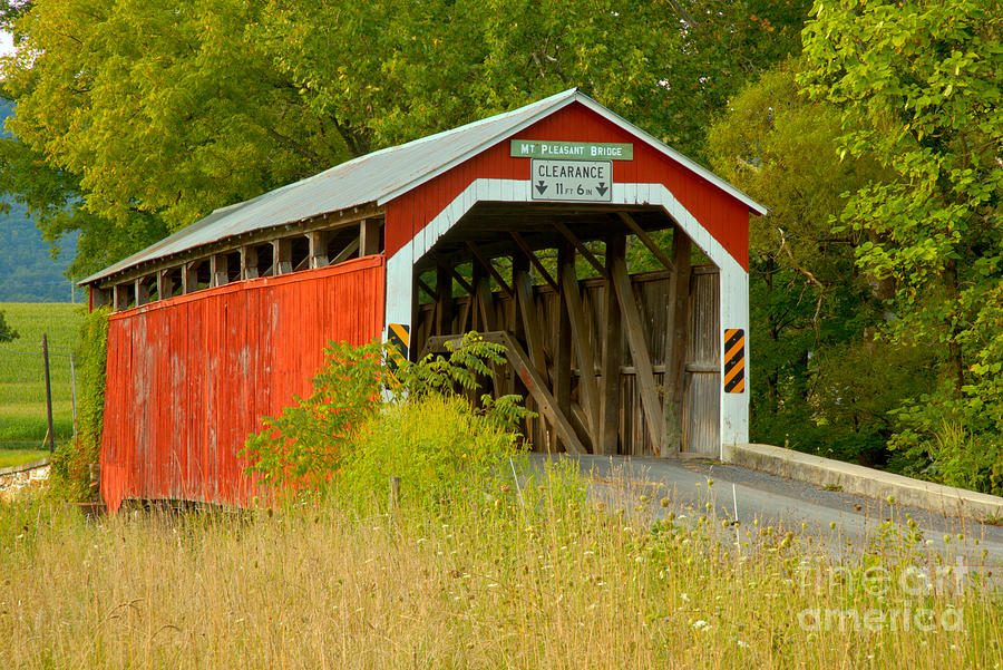 Mt. Pleasant Covered Bridge Through The Grass Photograph by Adam Jewell