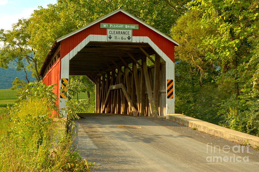 Mt. Pleasant Covered Bridge Under The Trees Photograph by Adam Jewell