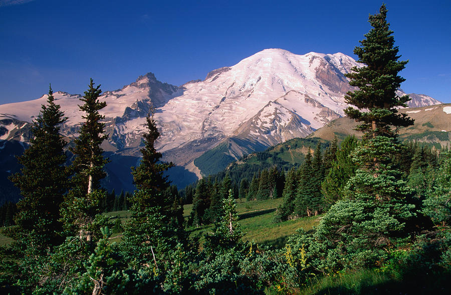 Mt Rainier And Emmons Glac1er From The Photograph by John Elk Iii