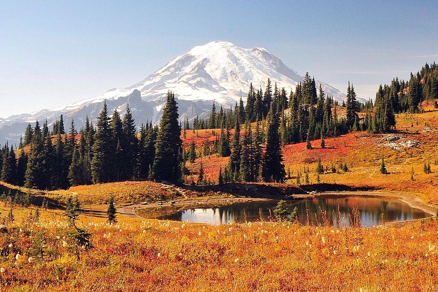 Mt. Rainier and Tipsoo Lake Photograph by Diane Lynch | Pixels