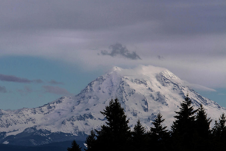 Mt Rainier Photograph by Cheryl Day
