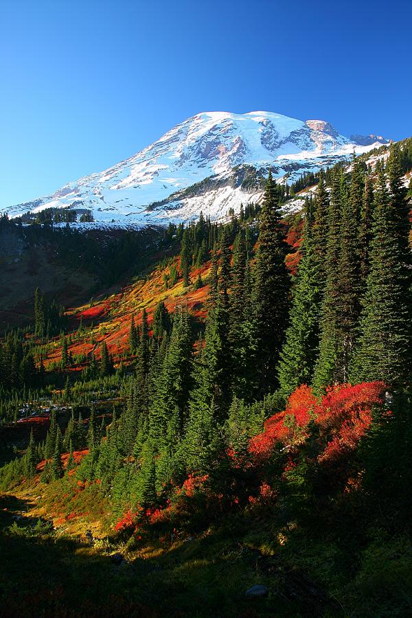 Mt Rainier Fall Color Photograph by Jonkman Photography