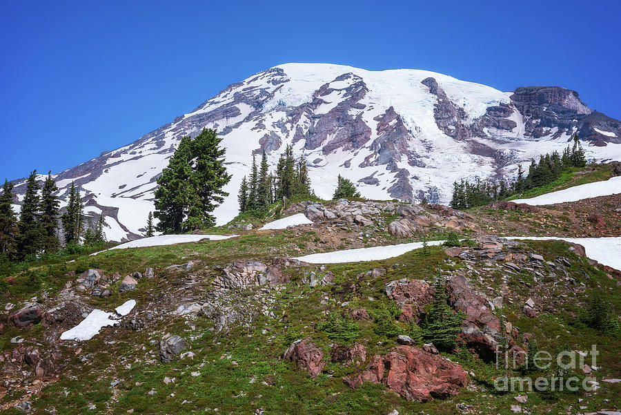 Mt Rainier by Sharon Seaward Mt Rainier by Sharon Seaward