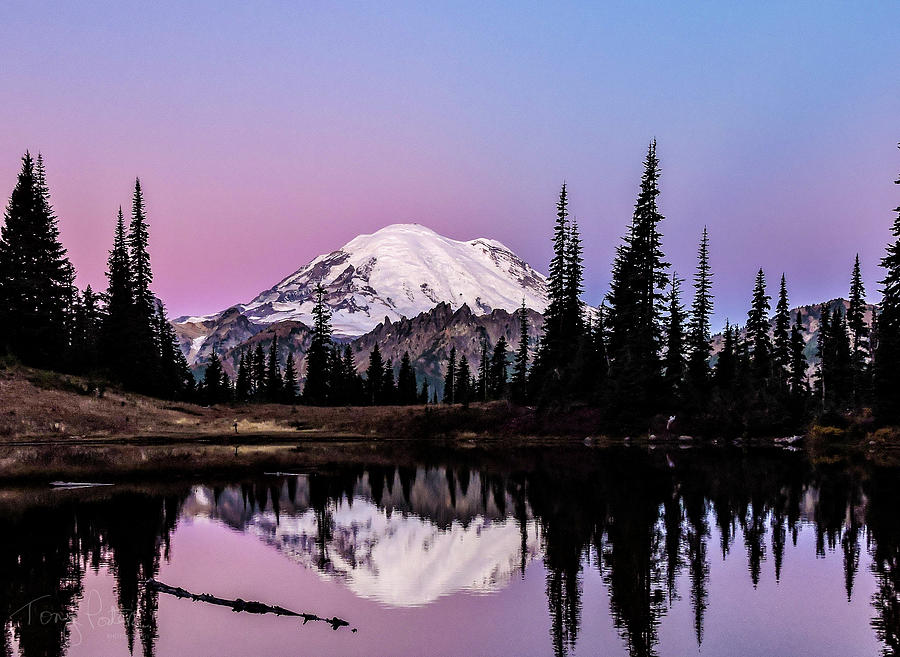 2015 Photograph - Mt Rainier Sunrise Tipsoo by Tony Porter 2015 Photograph - Mt Rainier Sunrise Tipsoo by Tony Porter