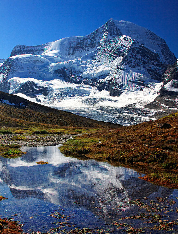 Mt. Robson Reflection Photograph by Erin Butler