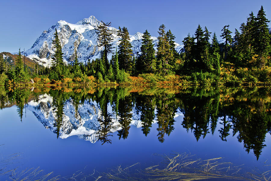 Mt. Shuksan Reflected In Highwood Lake Photograph by Michael Riffle