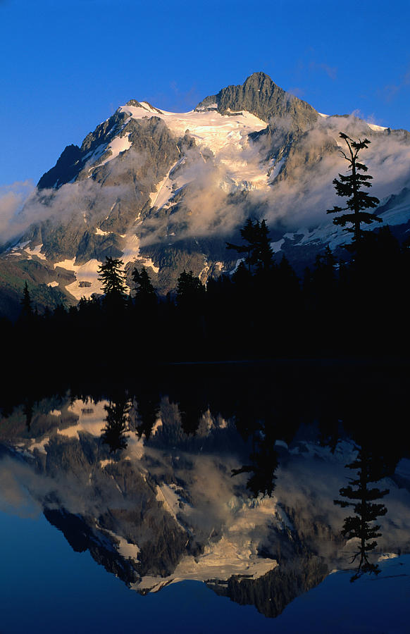 Mt Shuksan Reflected On Picture Lake Photograph by John Elk Iii