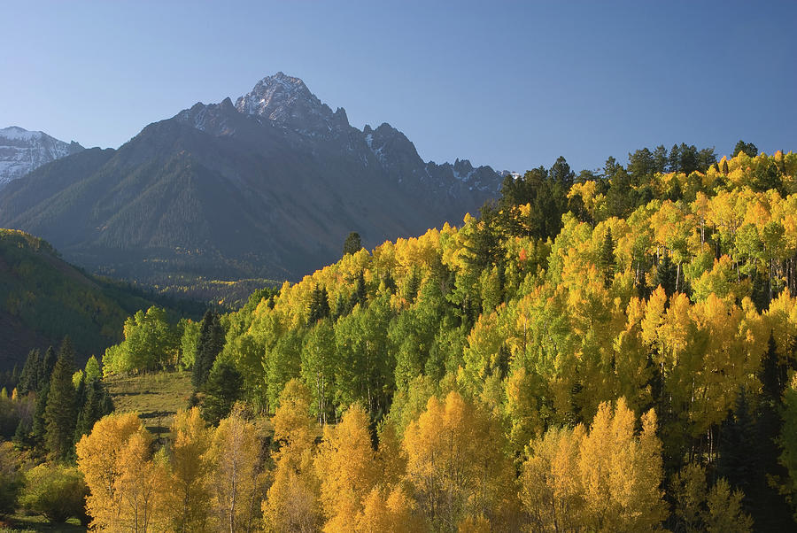 Mt Sneffels in Autumn 2 Photograph by Lynda Fowler - Fine Art America