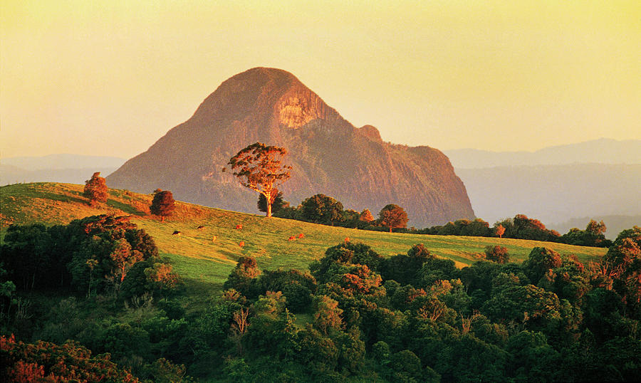 Mt Tibrogargan, A Volcanic Plug Of The By Australian Scenics