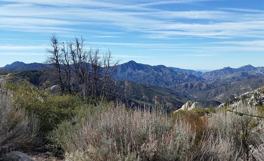 Mt. Wilson - View 1 by Karen J Shine Mt. Wilson - View 1 by Karen J Shine
