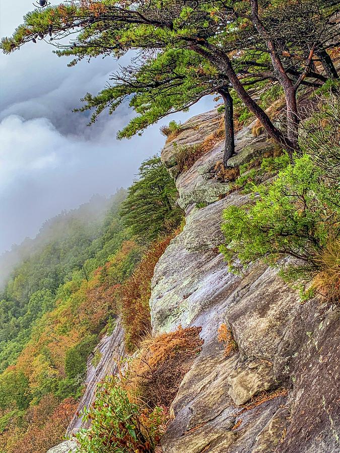 Fall Photograph - Mt. Yonah Cloudy Summit by Keith Smith