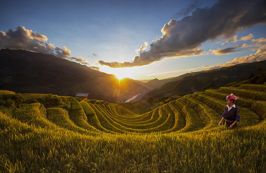 Mu Chang Chai Vietnam Photograph by Clas Gustafson Pro | Pixels