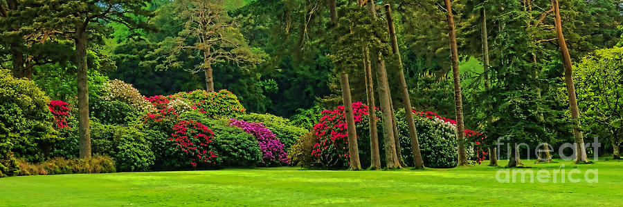 Muckross House Garden Impression Photograph by Olivier Le Queinec