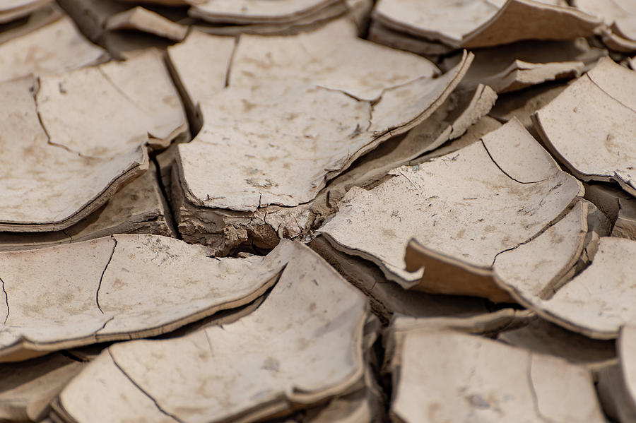 Mud Cracks Photograph by Douglas Killourie