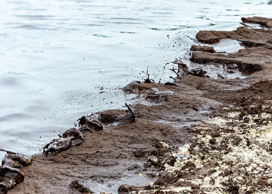 Muddy sea shore Photograph by Silvia Marcoschamer