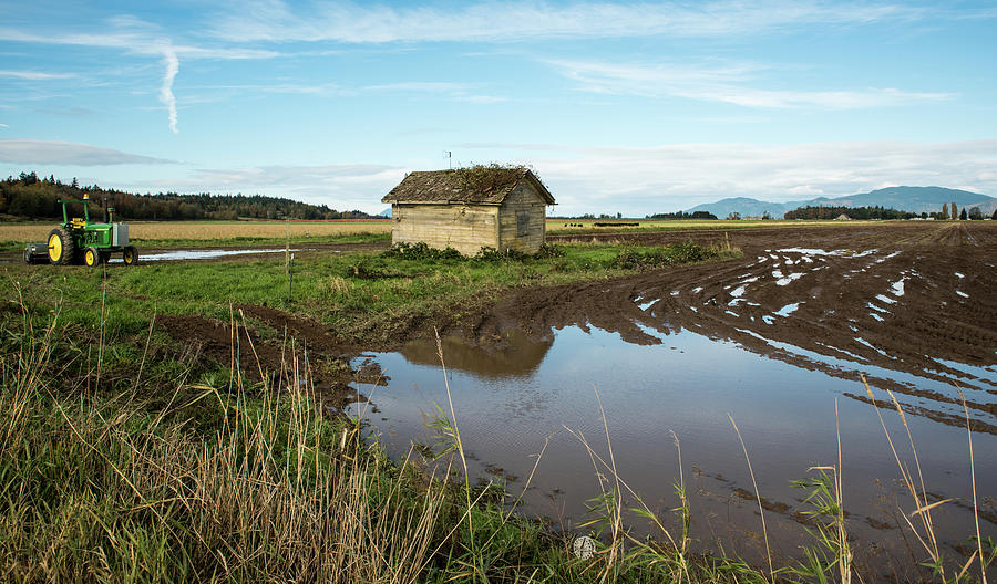 Muddy Skagit Field Photograph by Tom Cochran