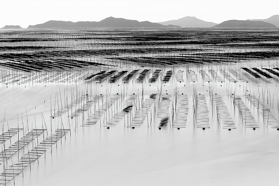 Mudflats of Xiapu #2 Photograph by Yancho Sabev Art