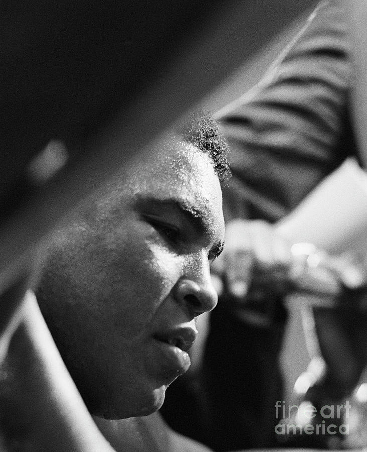 Muhammad Ali Photograph by Bettmann
