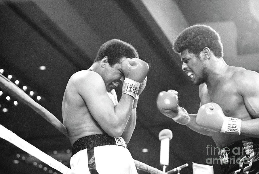 Muhammad Ali Blocks Leon Spinks Punches Photograph by Bettmann