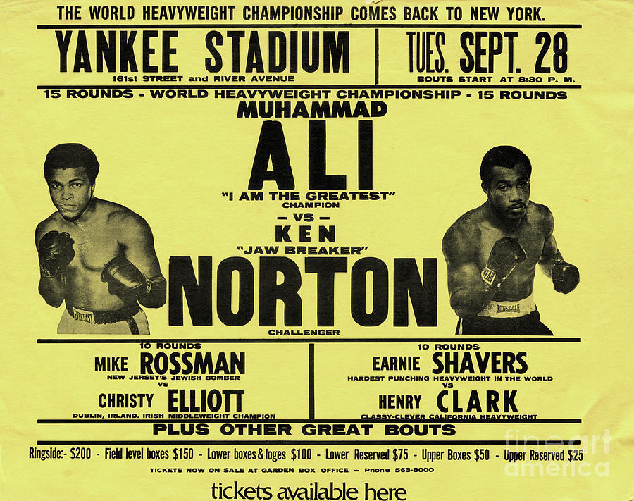 Sports Photograph - Muhammad Ali Vs. Ken Norton Boxing by Bettmann