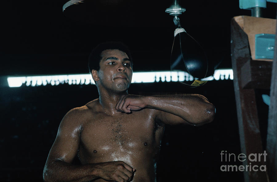 Muhammad Ali Working Photograph by Bettmann