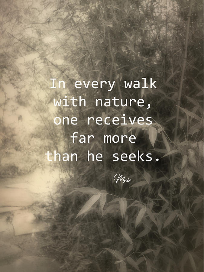 Muir Quote On Nature Photograph by Ann Powell - Fine Art America