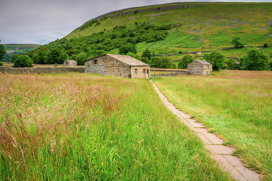 Muker Hay Meadows And Field Barns Photograph By David Head