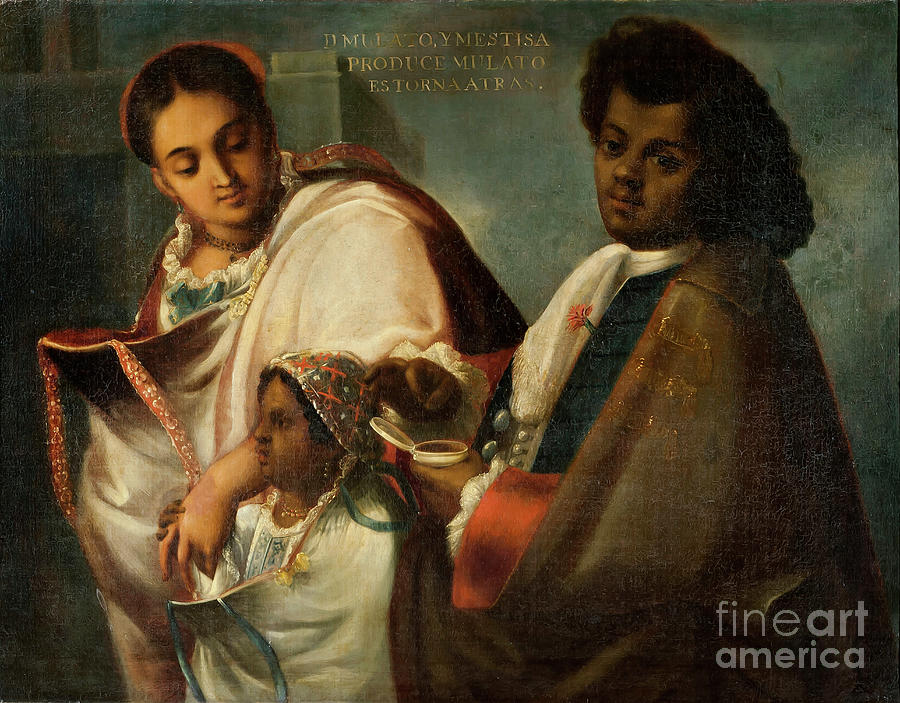 Mulatto And Mestiza Produce A Mulatto Return-backwards, C.1715 Painting ...