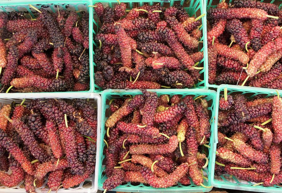 Mulberries In Plastic Baskets Seen From Above Photograph by William Boch